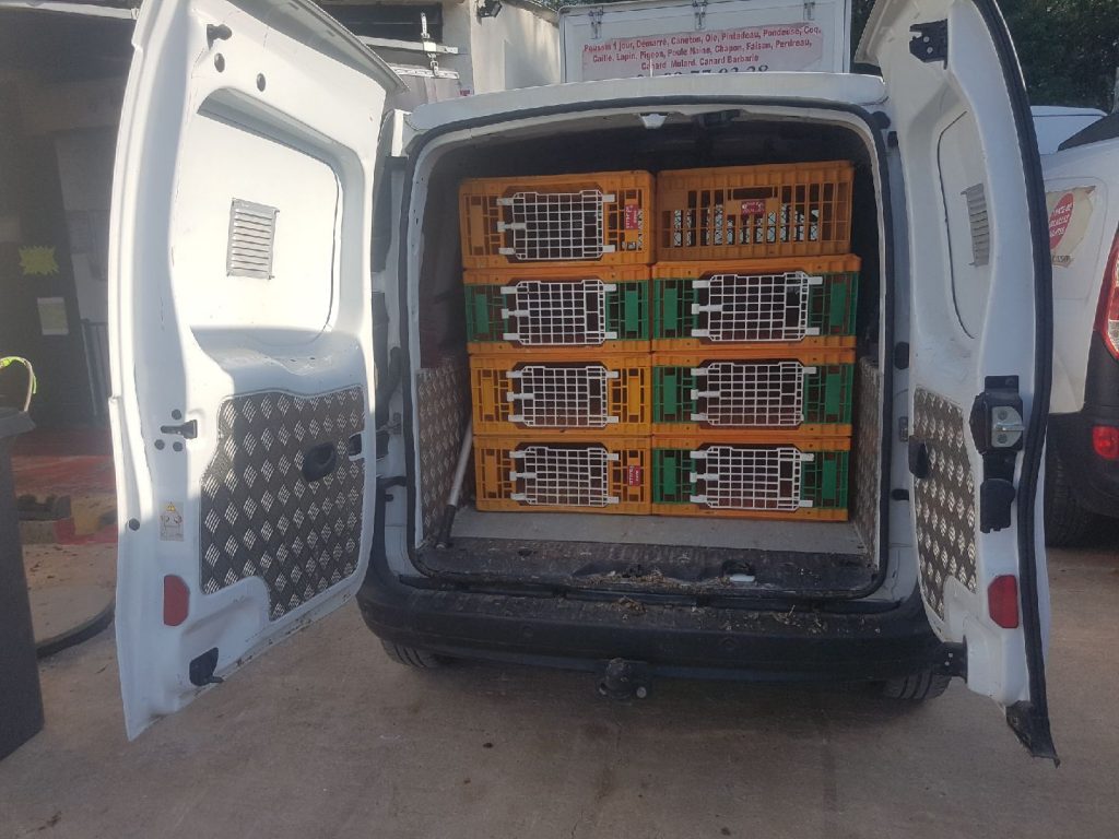 Marie Volaille – Vente de volailles vivantes de qualité