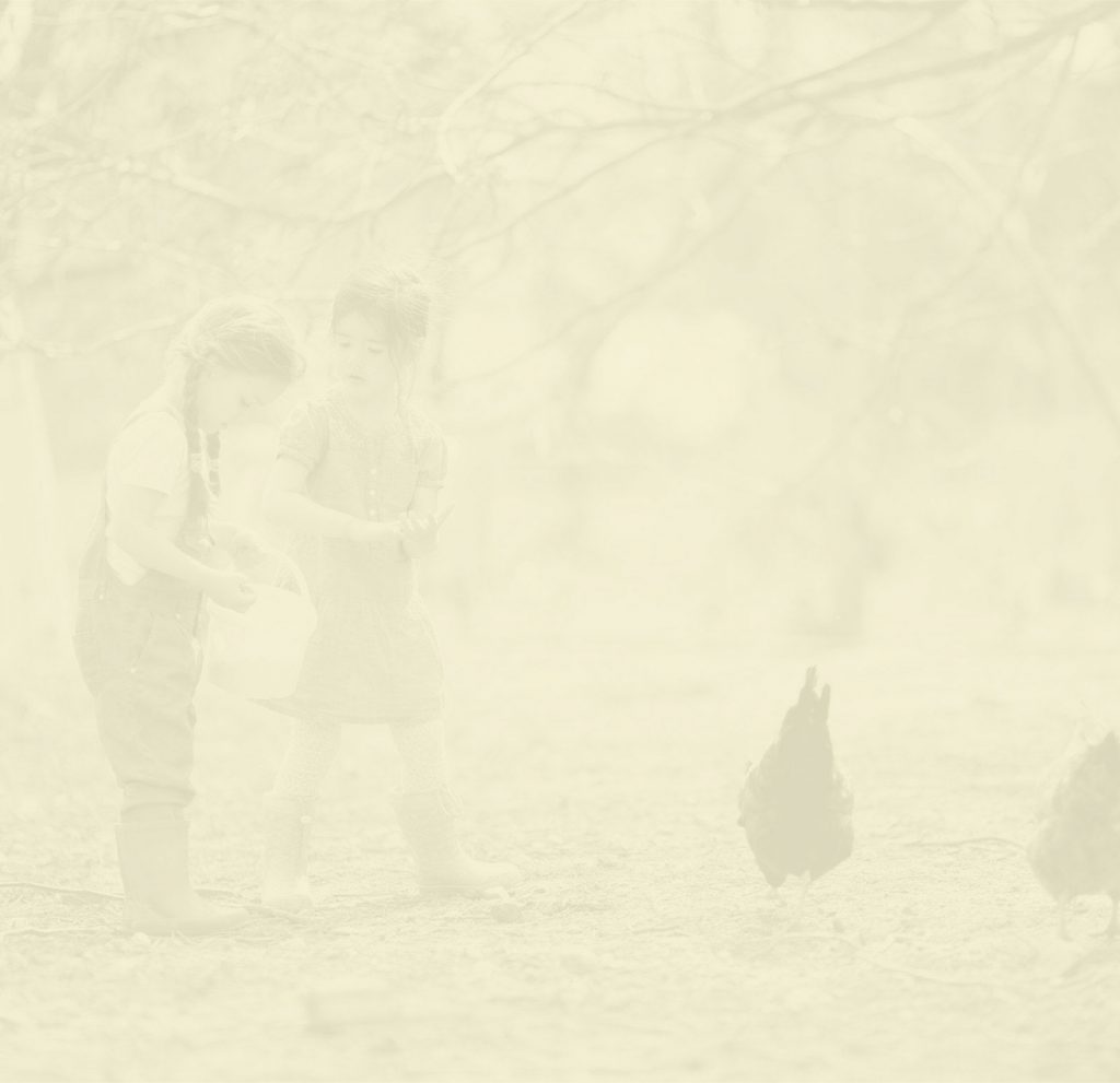 Marie Volaille – Vente de volailles vivantes de qualité