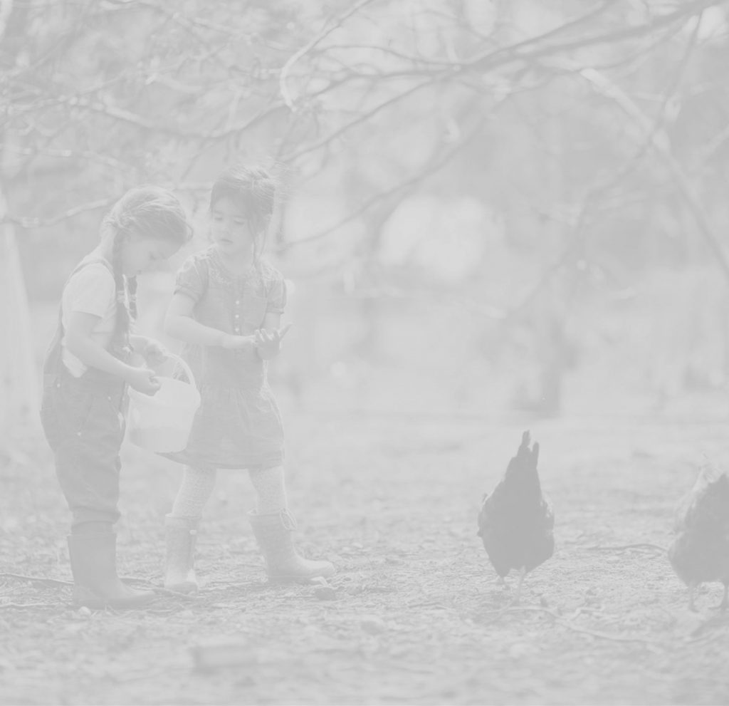 Marie Volaille – Vente de volailles vivantes de qualité