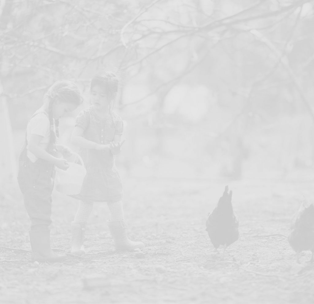 Marie Volaille – Vente de volailles vivantes de qualité