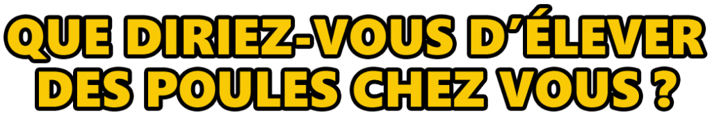 Marie Volaille – Vente de volailles vivantes de qualité