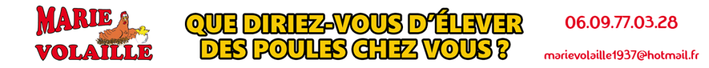 Marie Volaille – Vente de volailles vivantes de qualité
