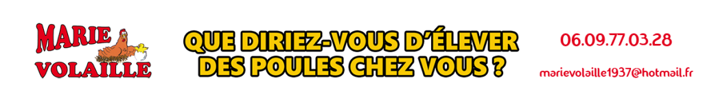 Marie Volaille – Vente de volailles vivantes de qualité
