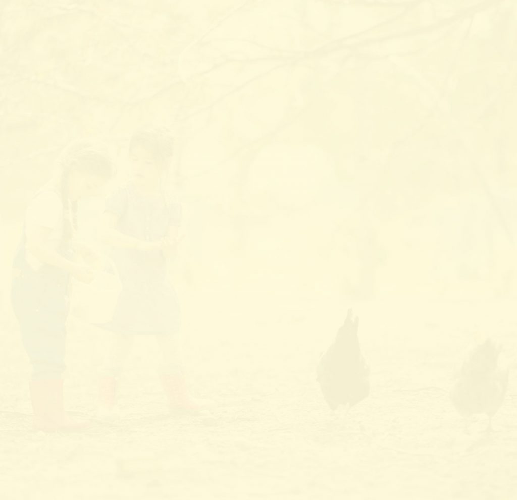 Marie Volaille – Vente de volailles vivantes de qualité