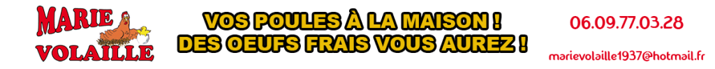 Marie Volaille – Vente de volailles vivantes de qualité