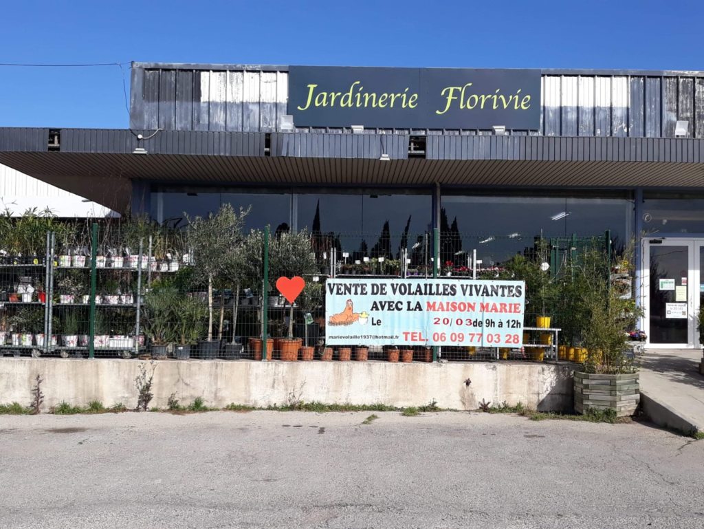 Marie Volaille – Vente de volailles vivantes de qualité